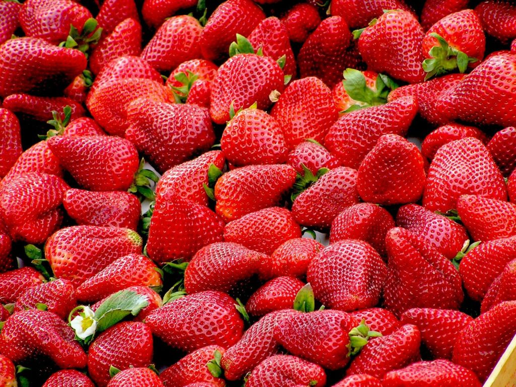 strawberries-99551_1920